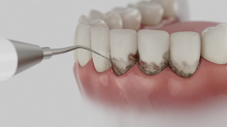 Reliable Dental contractor in Milam County County, TX by Dentist Open Now